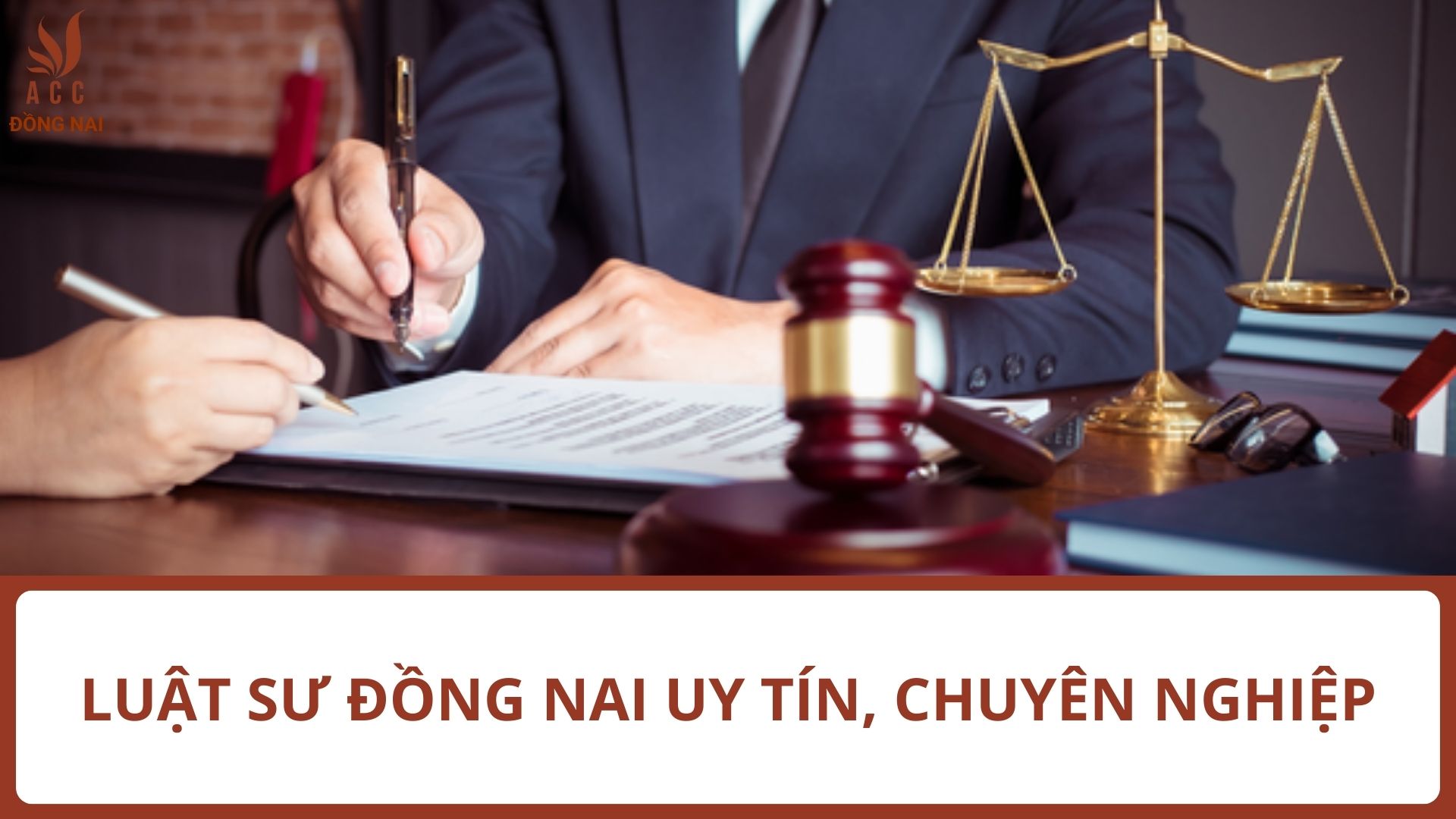 Luật sư Đồng Nai uy tín, chuyên nghiệp tại ACC Đồng Nai