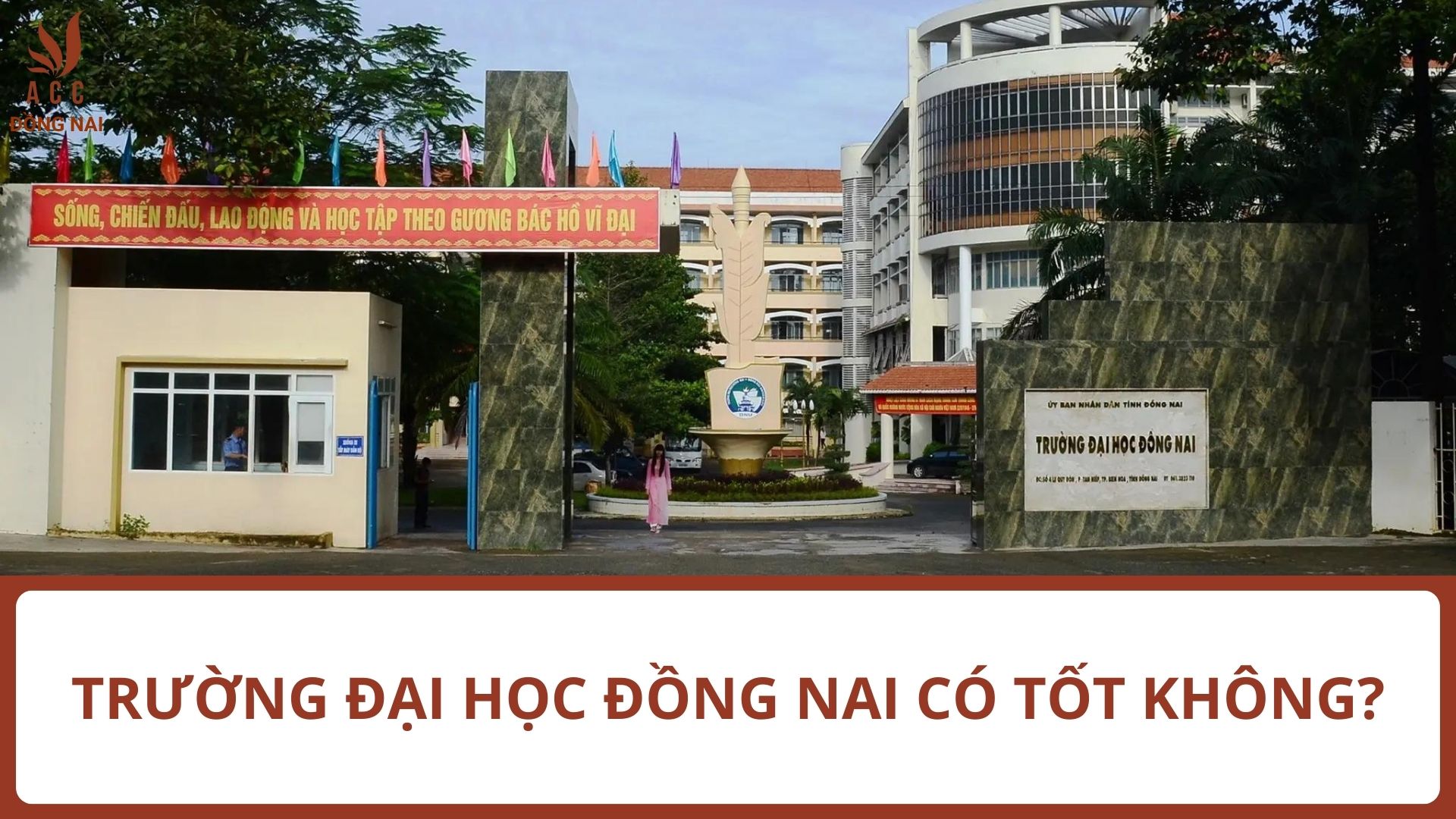 Trường Đại học Đồng Nai (DNU) có tốt không