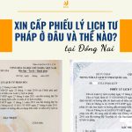 Xin cấp phiếu lý lịch tư pháp Đồng Nai ở đâu và thế nào?