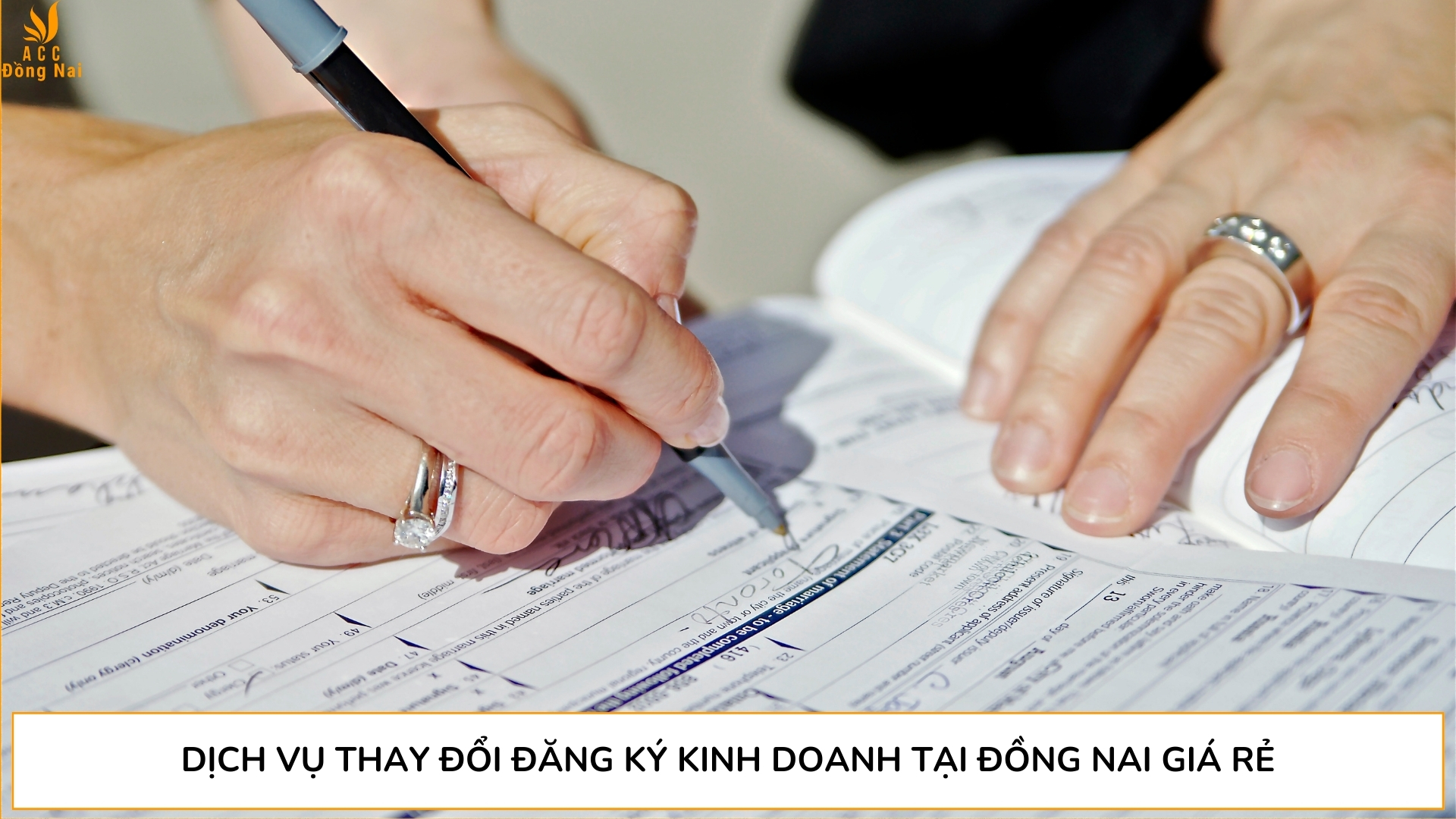 Dịch Vụ Thay Đổi Đăng Ký Kinh Doanh tại Đồng Nai giá rẻ