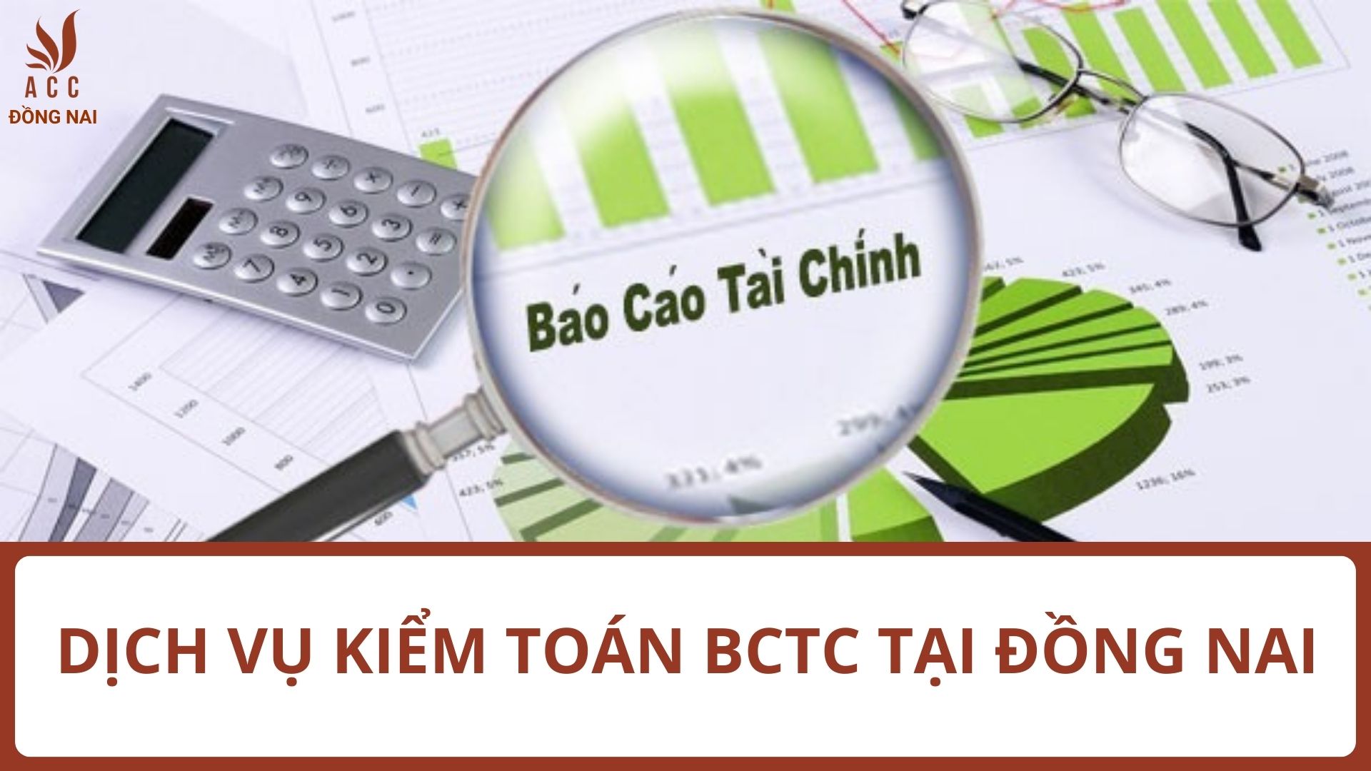 Dịch vụ kiểm toán BCTC tại Đồng Nai