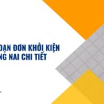 Dịch vụ soạn đơn khởi kiện tại Đồng Nai chi tiết