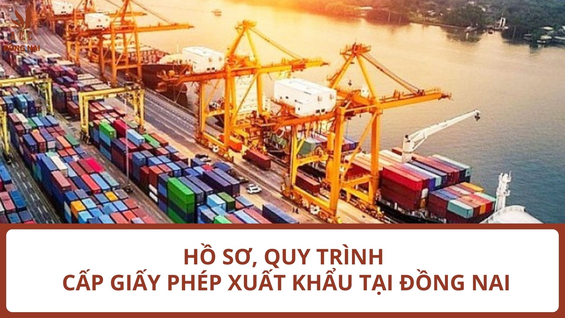 Hồ sơ, quy trình cấp giấy phép xuất khẩu tại Đồng Nai