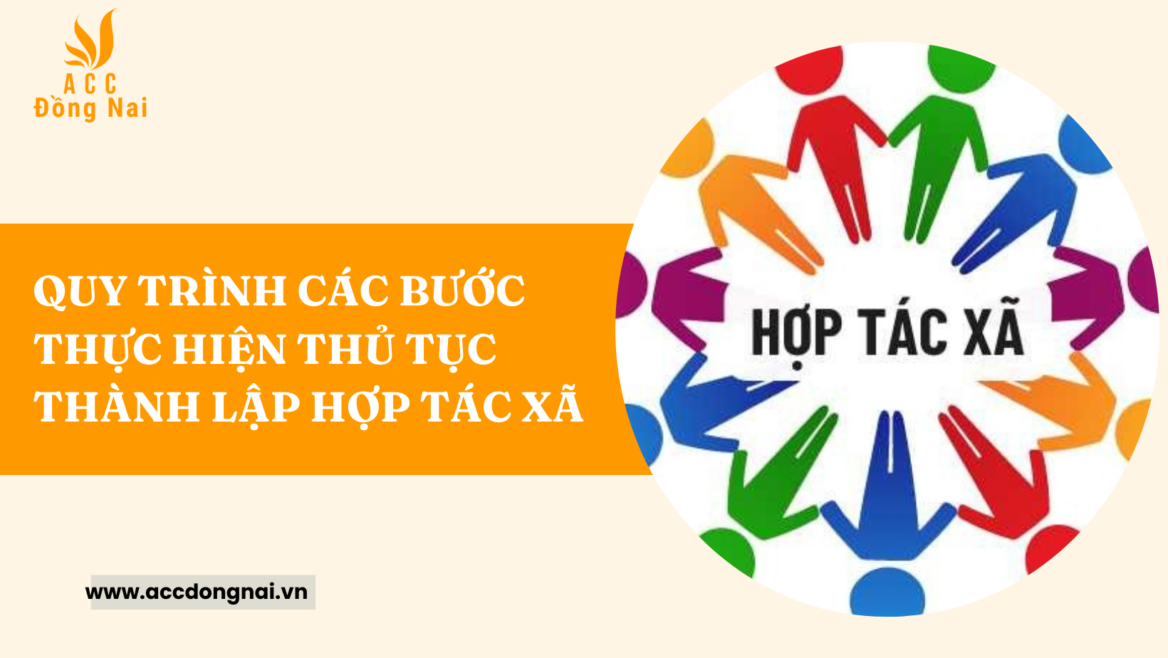 Quy trình các bước thực hiện thủ tục thành lập hợp tác xã