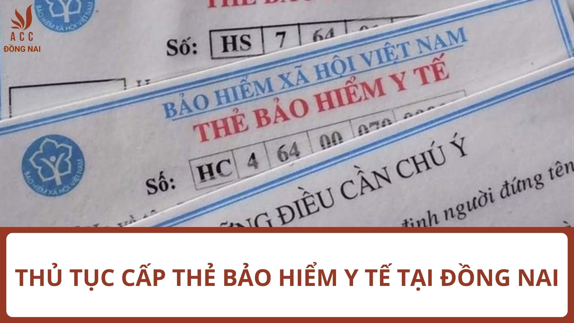 Thủ tục cấp thẻ bảo hiểm y tế tại Đồng Nai