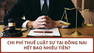 Chi phí thuê luật sư tại Đồng Nai