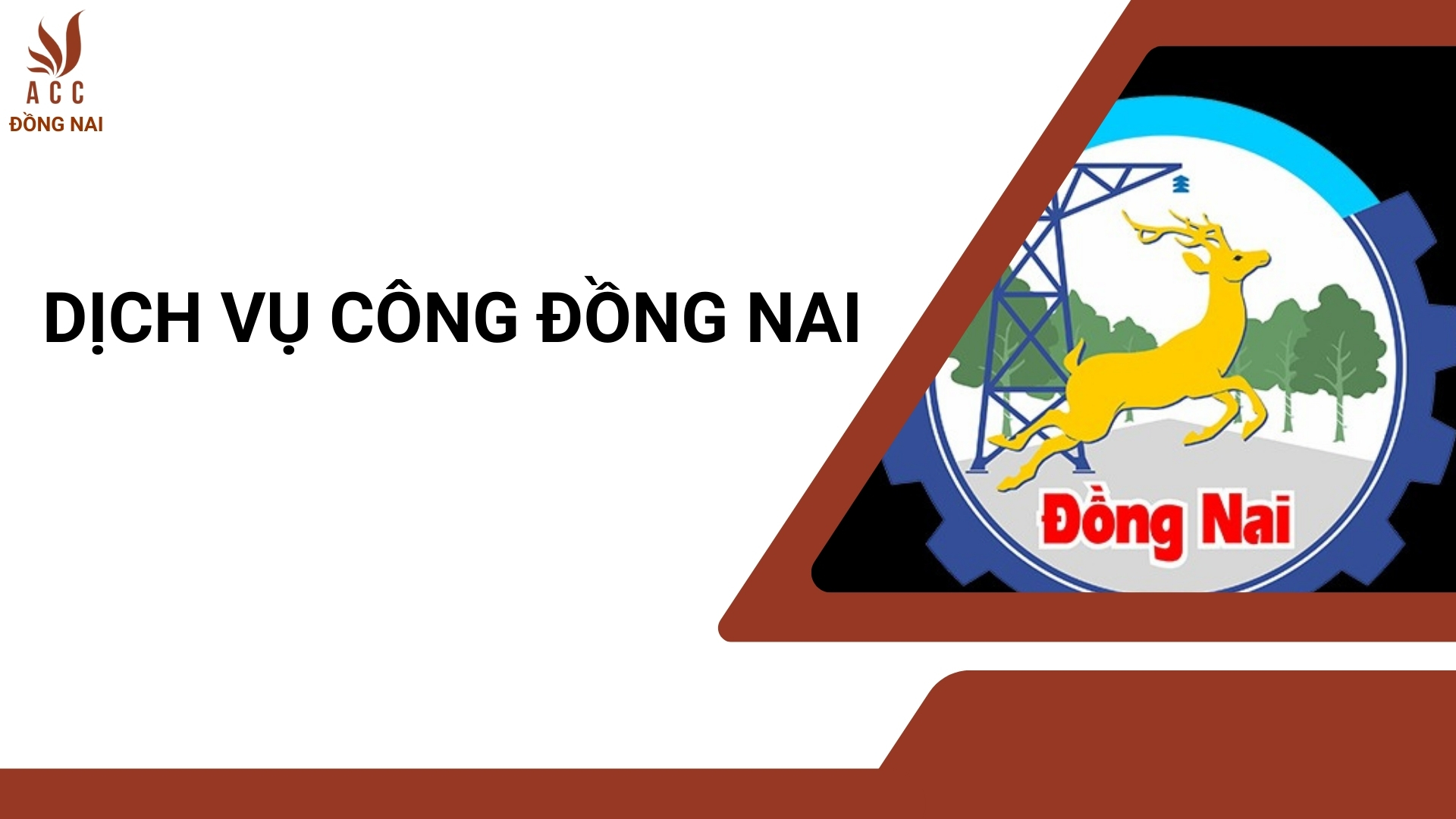 Các dịch vụ tại Dịch vụ Công Đồng Nai