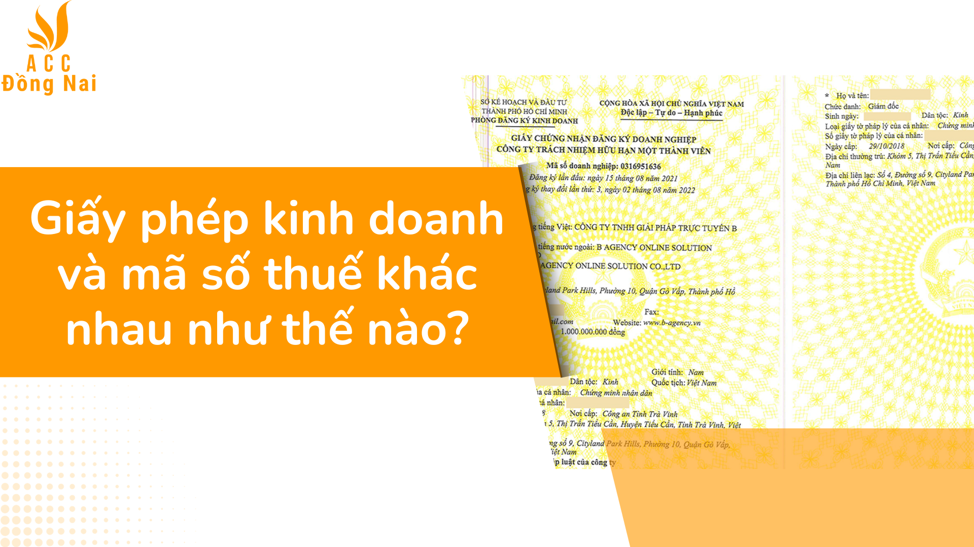 Giấy phép kinh doanh và mã số thuế khác nhau như thế nào?