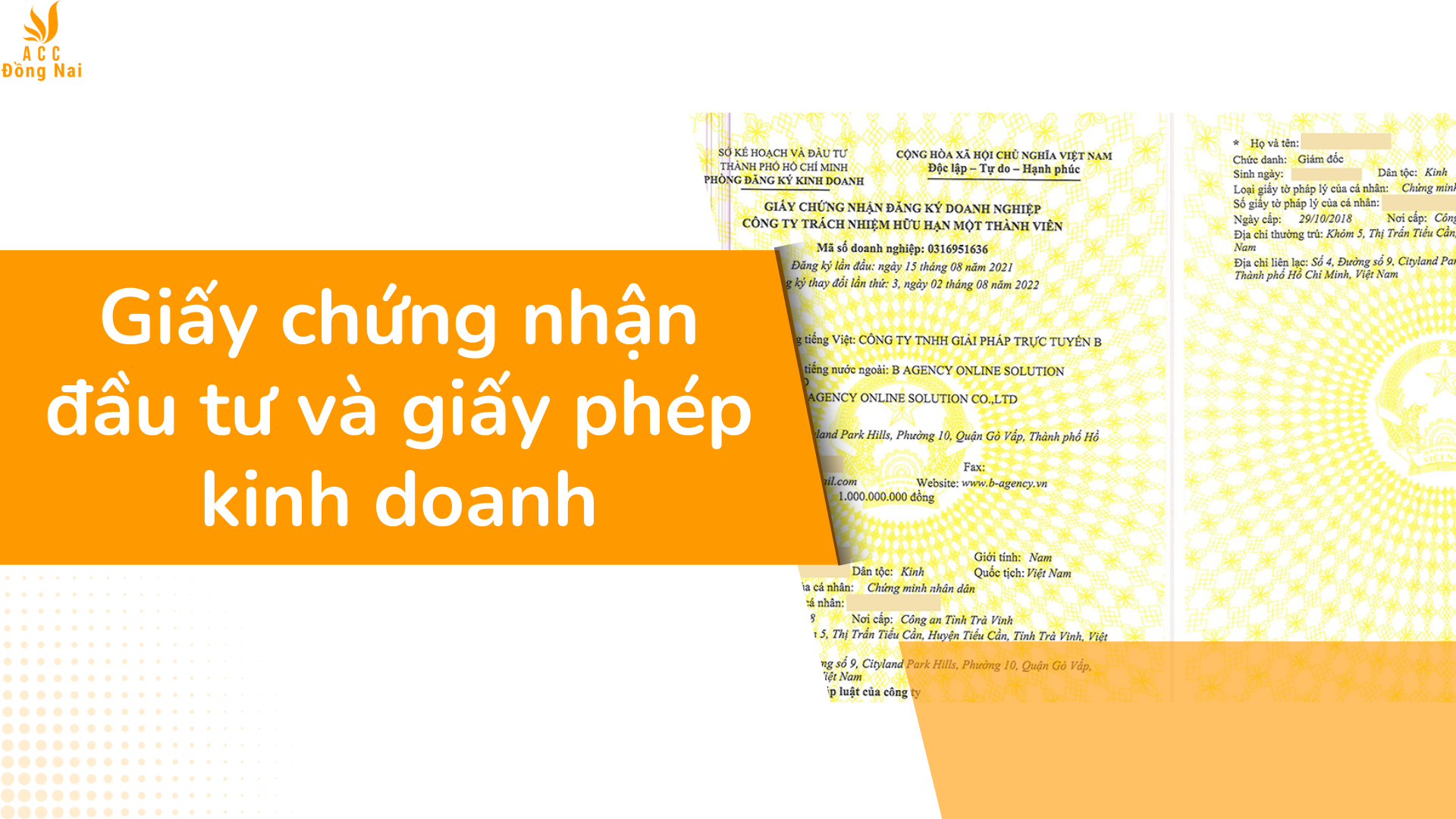 Giấy chứng nhận đầu tư và giấy phép kinh doanh