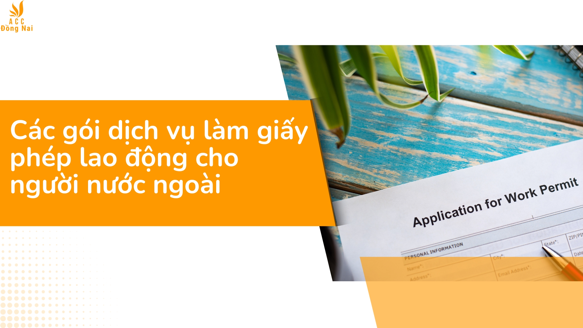 Các gói dịch vụ làm giấy phép lao động cho người nước ngoài