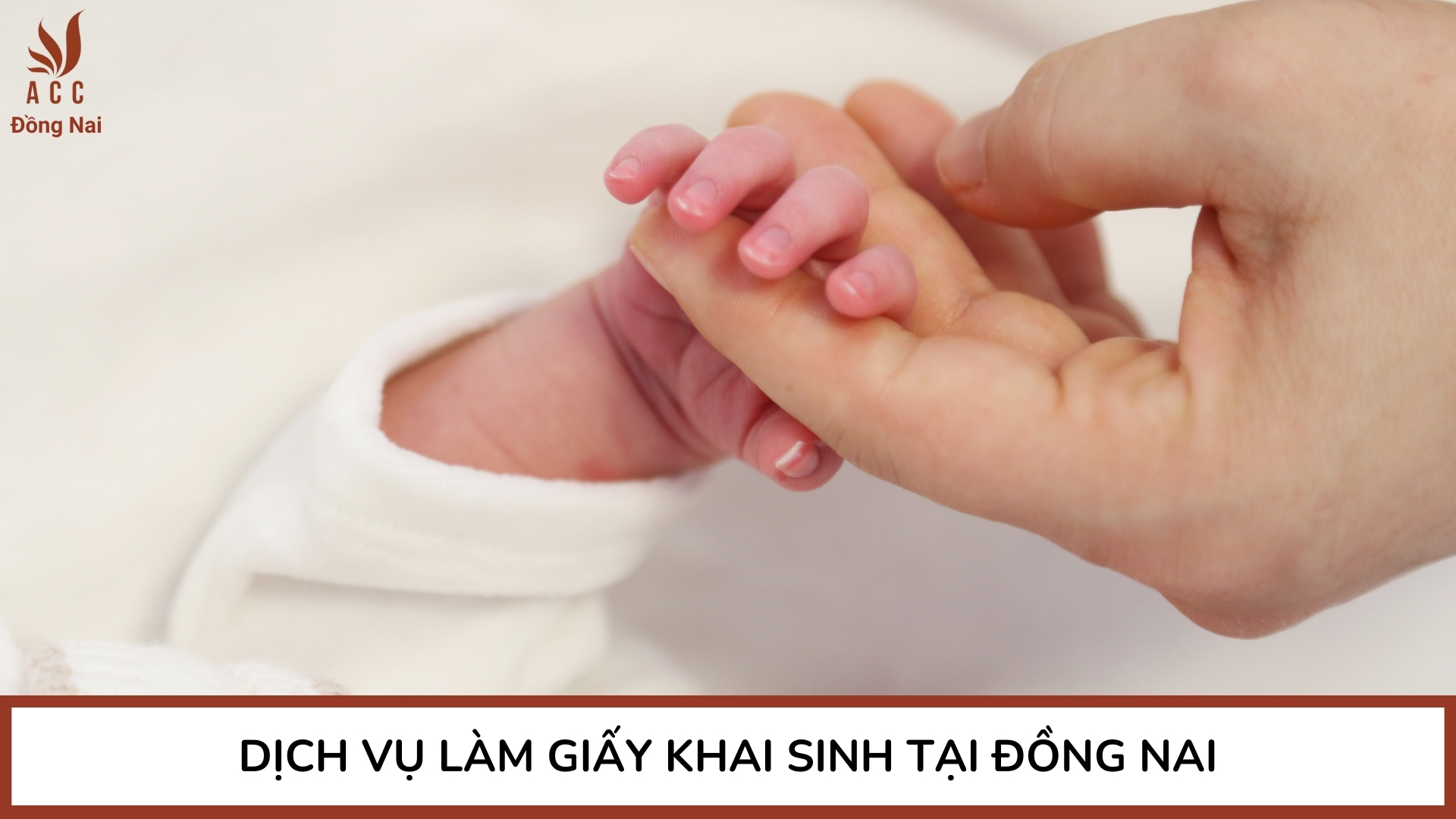 Dịch vụ làm giấy khai sinh tại Đồng Nai