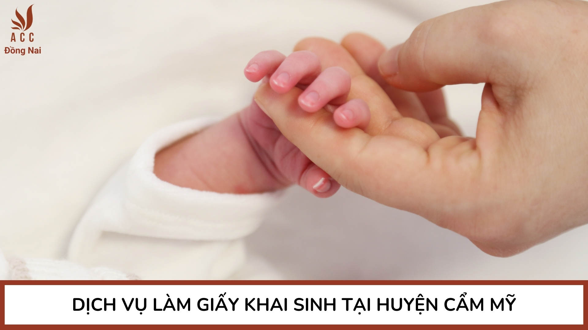 Dịch vụ làm giấy khai sinh tại Huyện Cẩm Mỹ