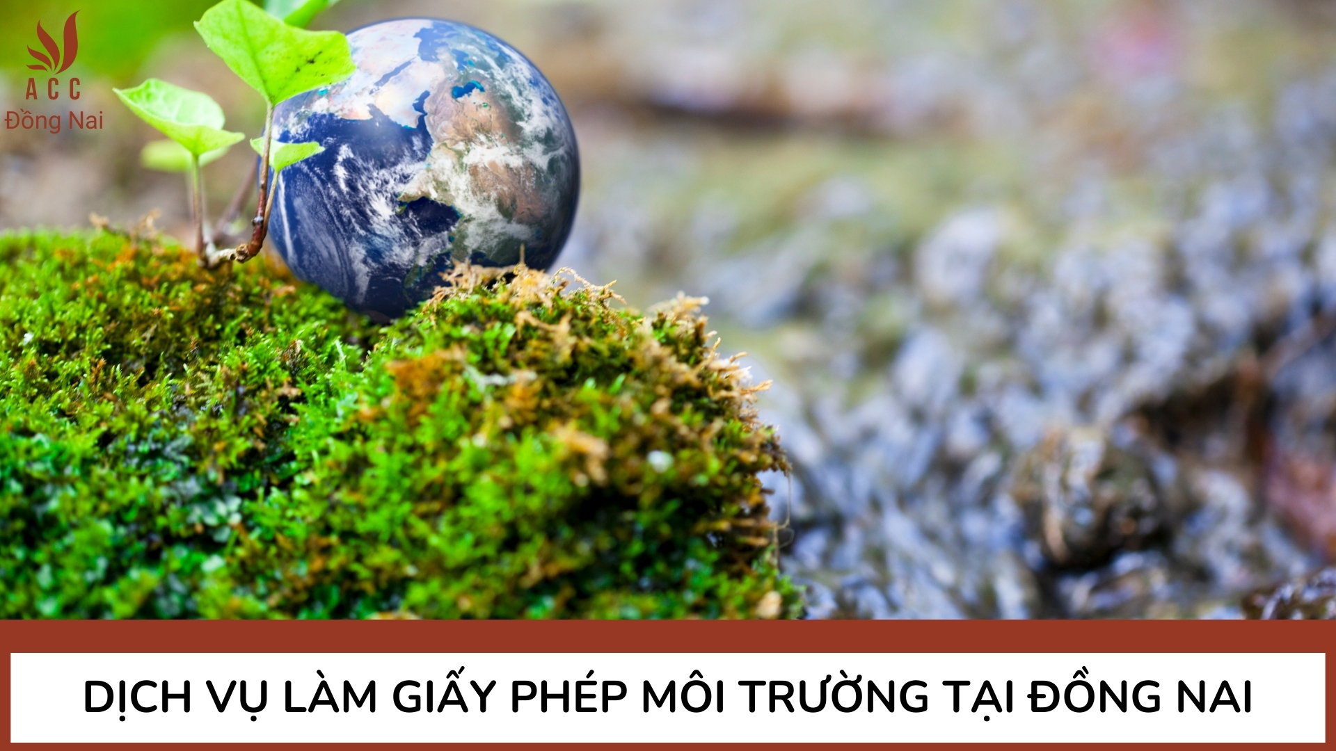 Dịch vụ làm giấy phép môi trường tại Đồng Nai