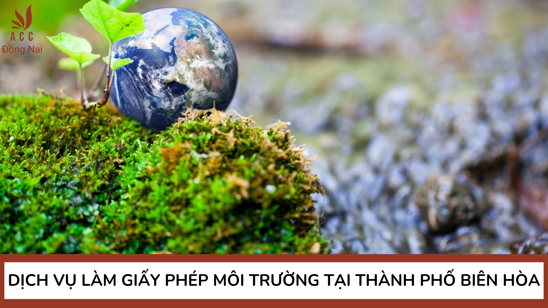 Dịch vụ làm giấy phép môi trường tại Thành phố Biên Hòa