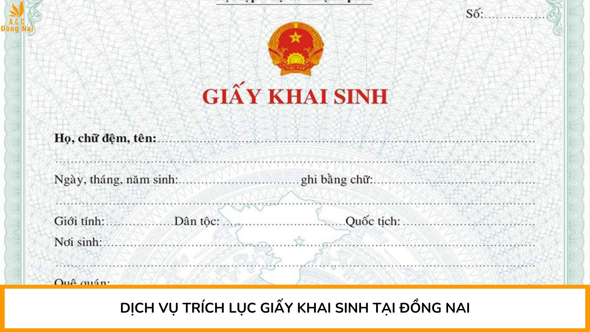 Dịch vụ trích lục giấy khai sinh tại Đồng Nai