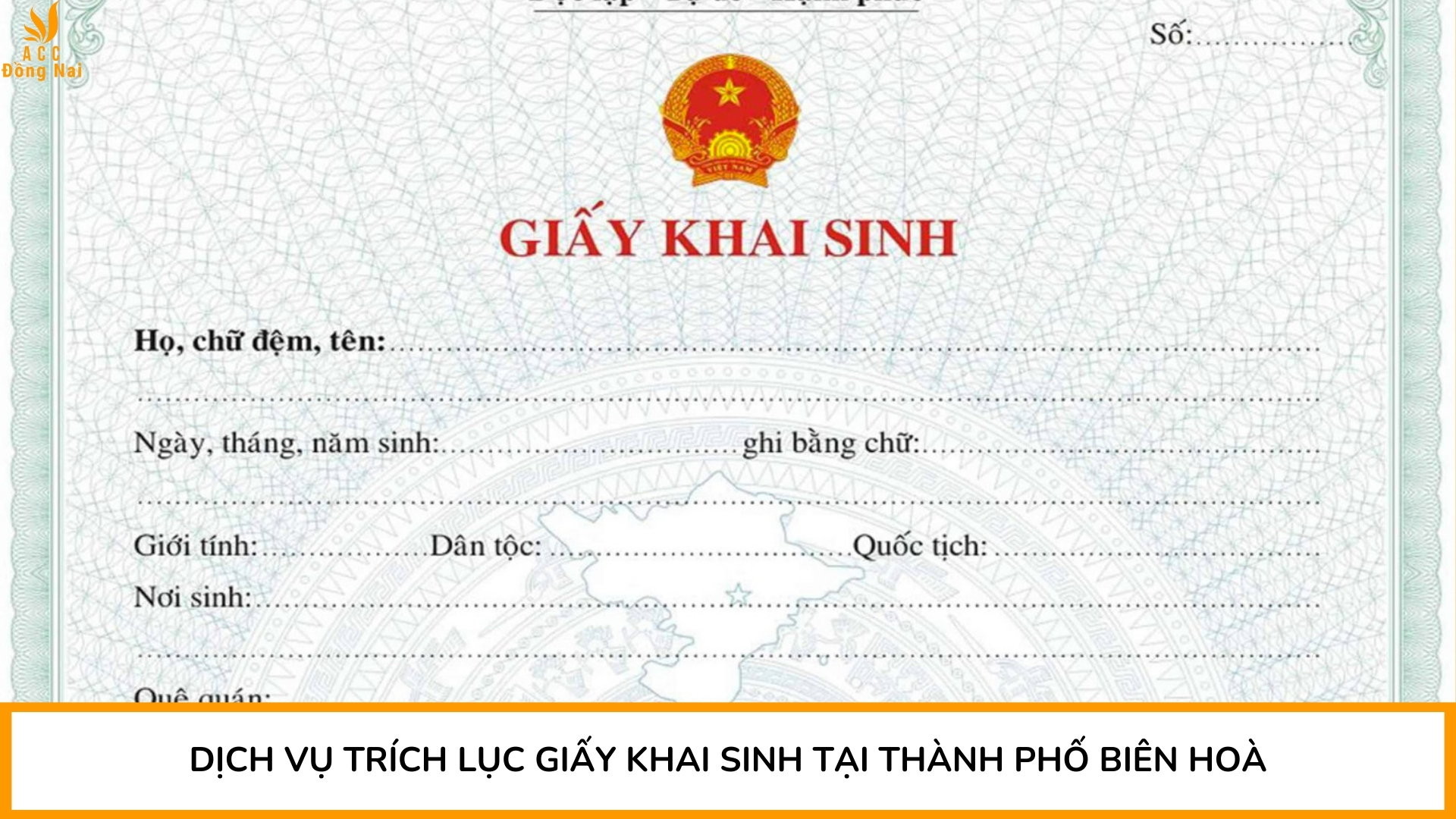 Dịch vụ trích lục giấy khai sinh tại Thành phố Biên Hoà