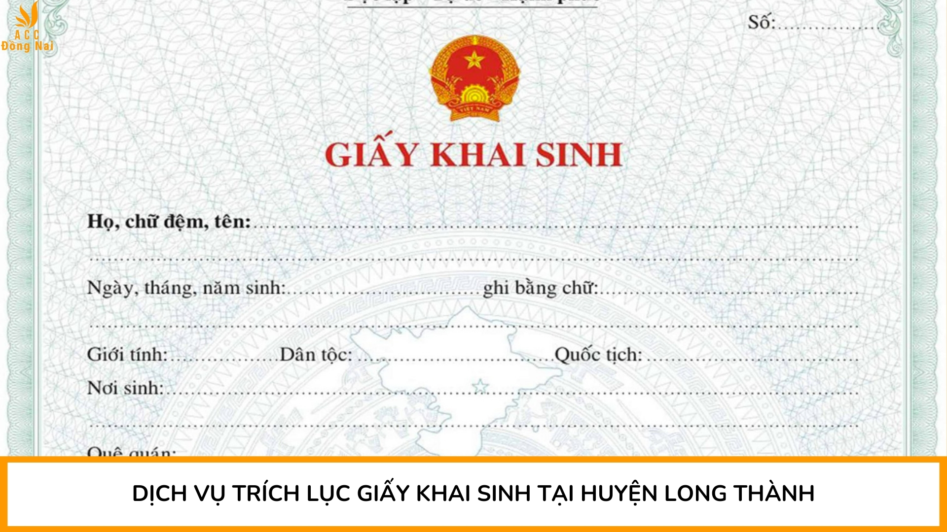 Dịch vụ trích lục giấy khai sinh tại huyện Long Thành