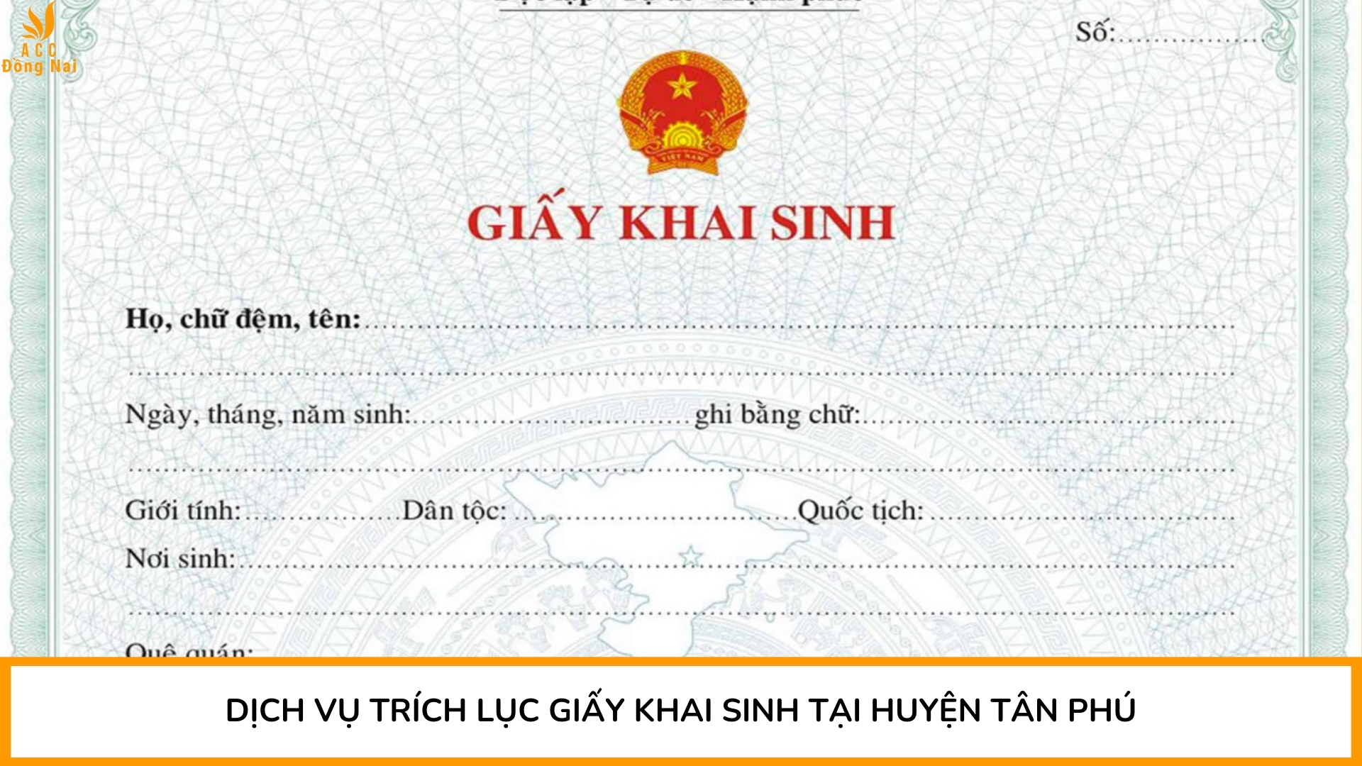 Dịch vụ trích lục giấy khai sinh tại huyện Tân Phú