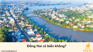 Đồng Nai có biển không?