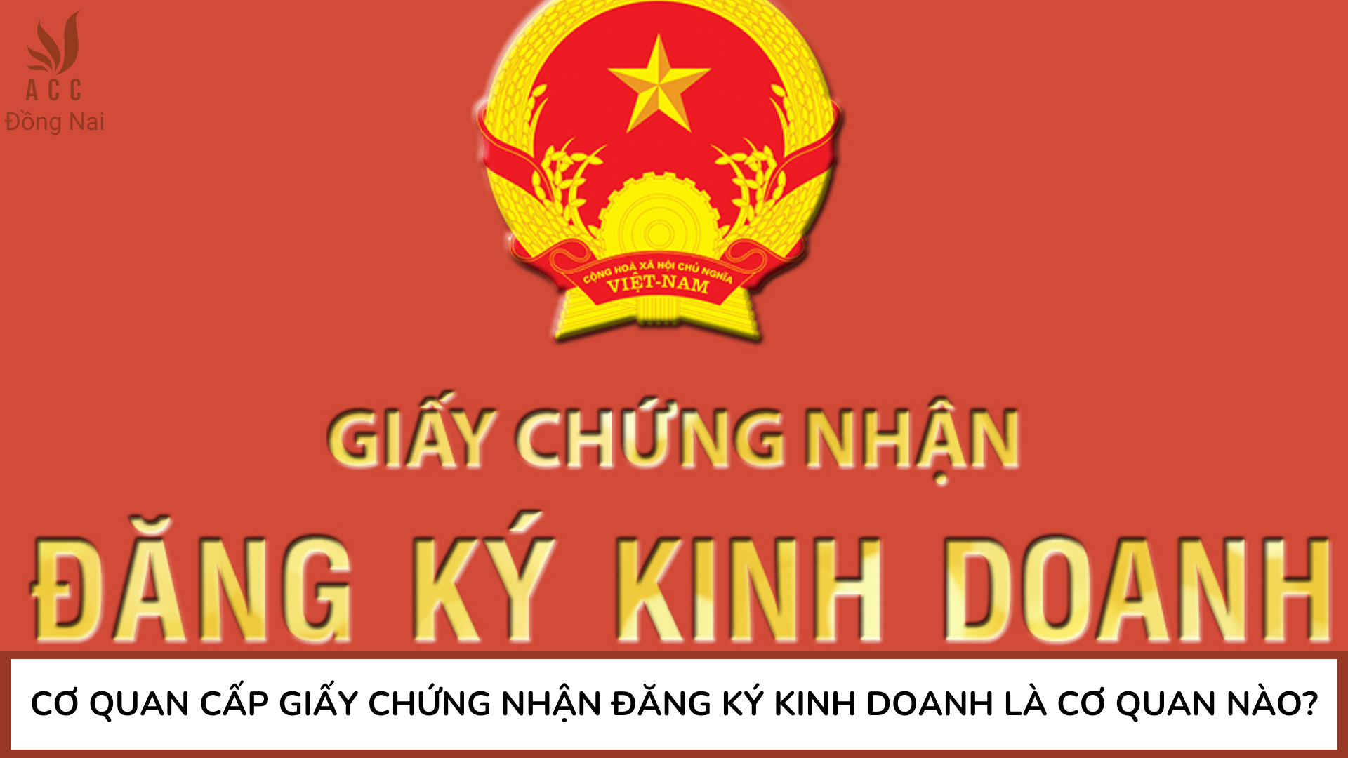 Cơ quan cấp giấy chứng nhận đăng ký kinh doanh là cơ quan nào?