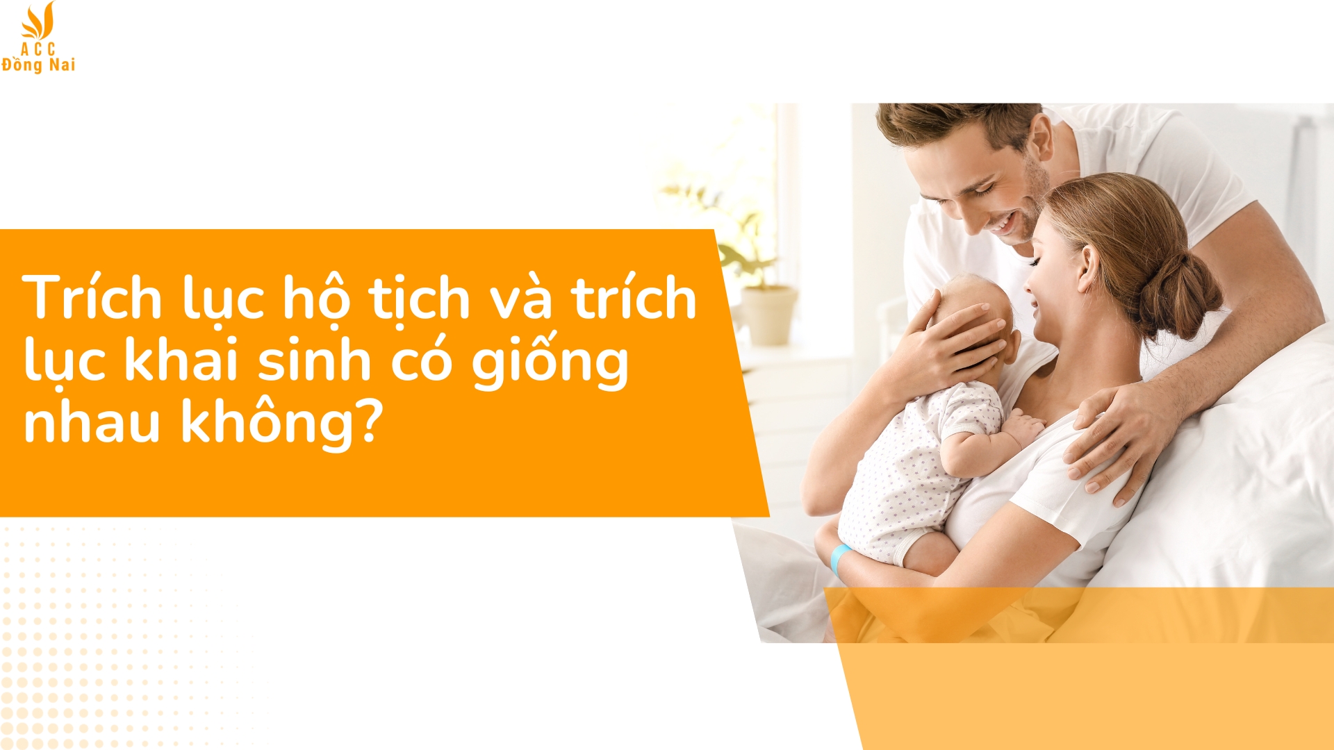 Trích lục hộ tịch và trích lục khai sinh có giống nhau không?