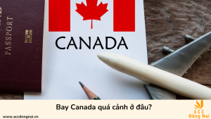 Bay Canada quá cảnh ở đâu?