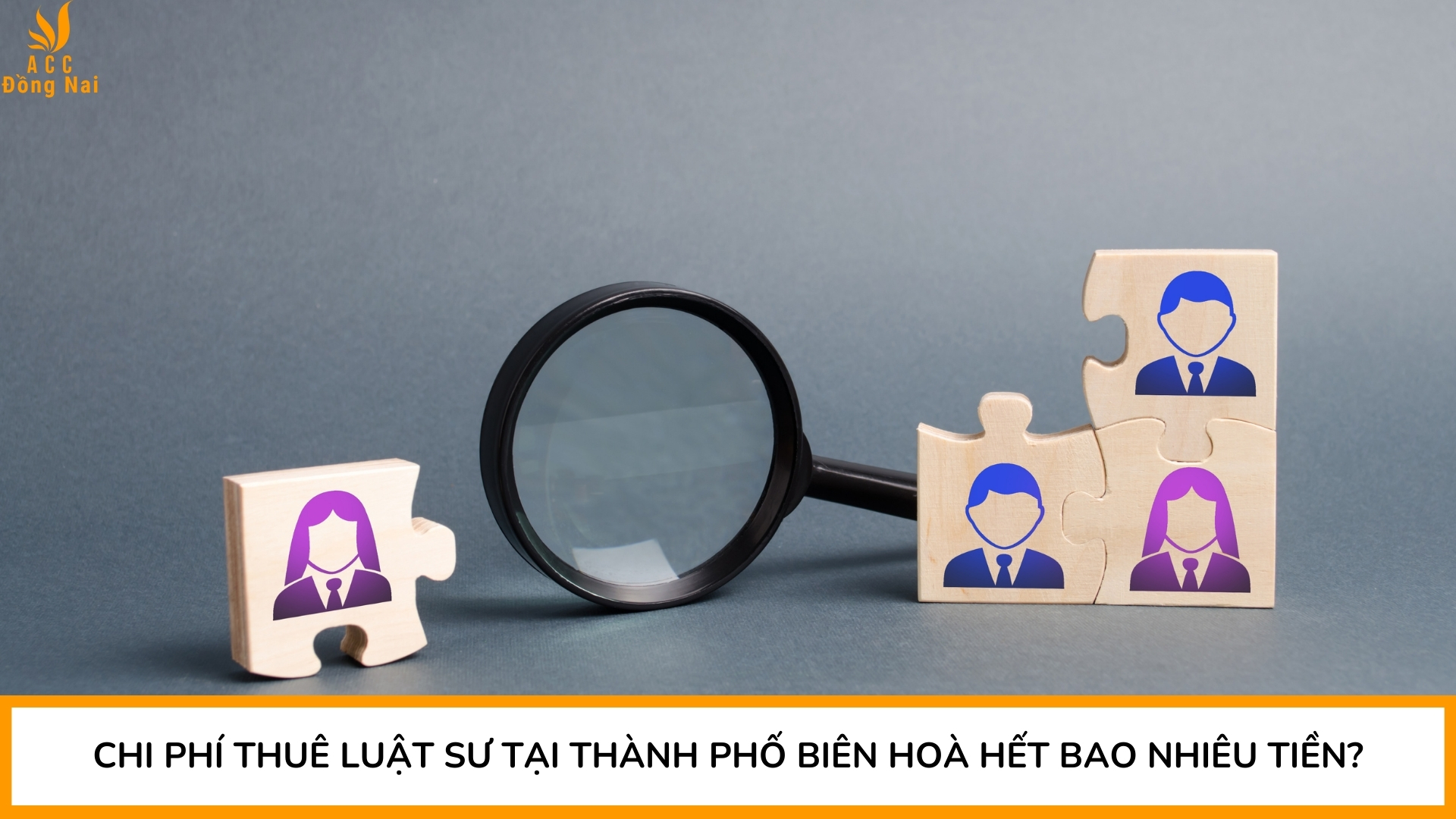 Chi phí thuê luật sư tại Thành phố Biên Hoà hết bao nhiêu tiền?