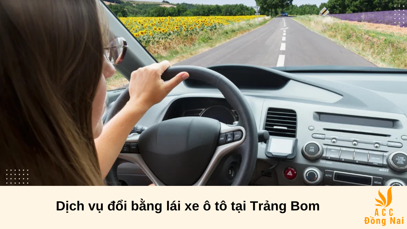 Dịch vụ đổi bằng lái xe ô tô tại Trảng Bom