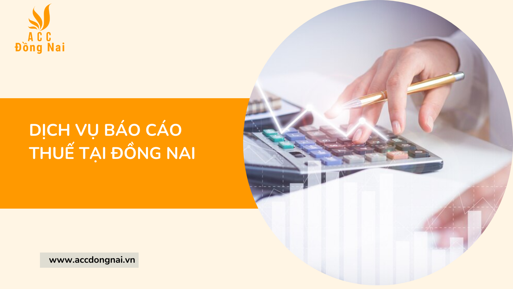 Dịch vụ báo cáo thuế tại Đồng Nai