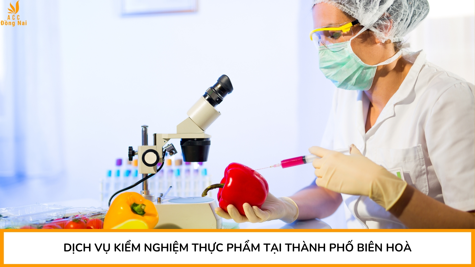 Dịch vụ kiểm nghiệm thực phẩm tại Thành phố Biên Hoà