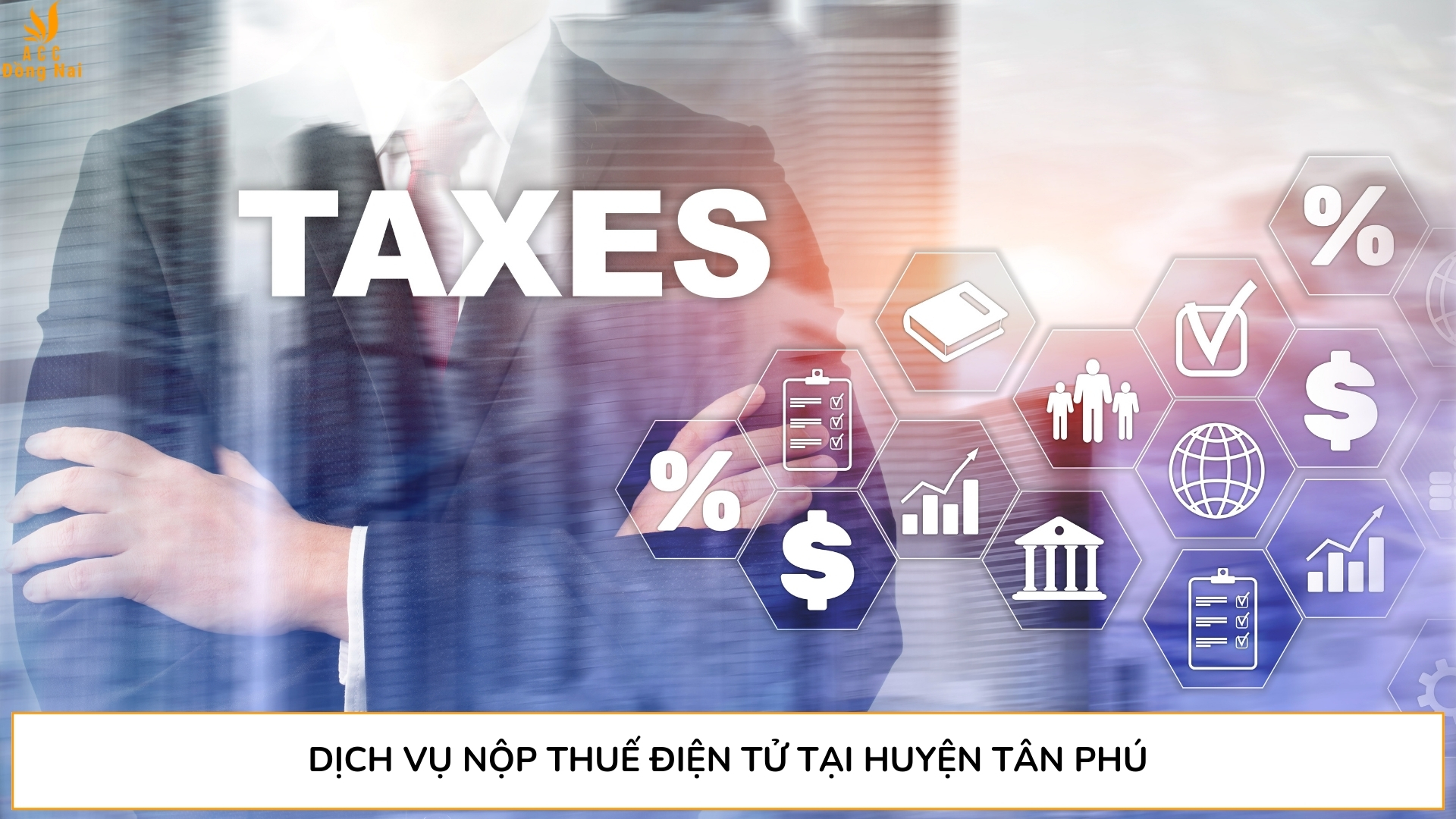 Dịch vụ nộp thuế điện tử tại Huyện Tân Phú