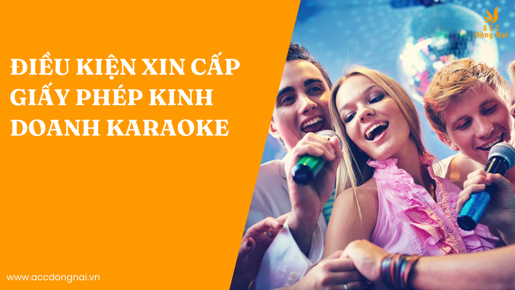 Điều kiện xin cấp giấy phép kinh doanh karaoke