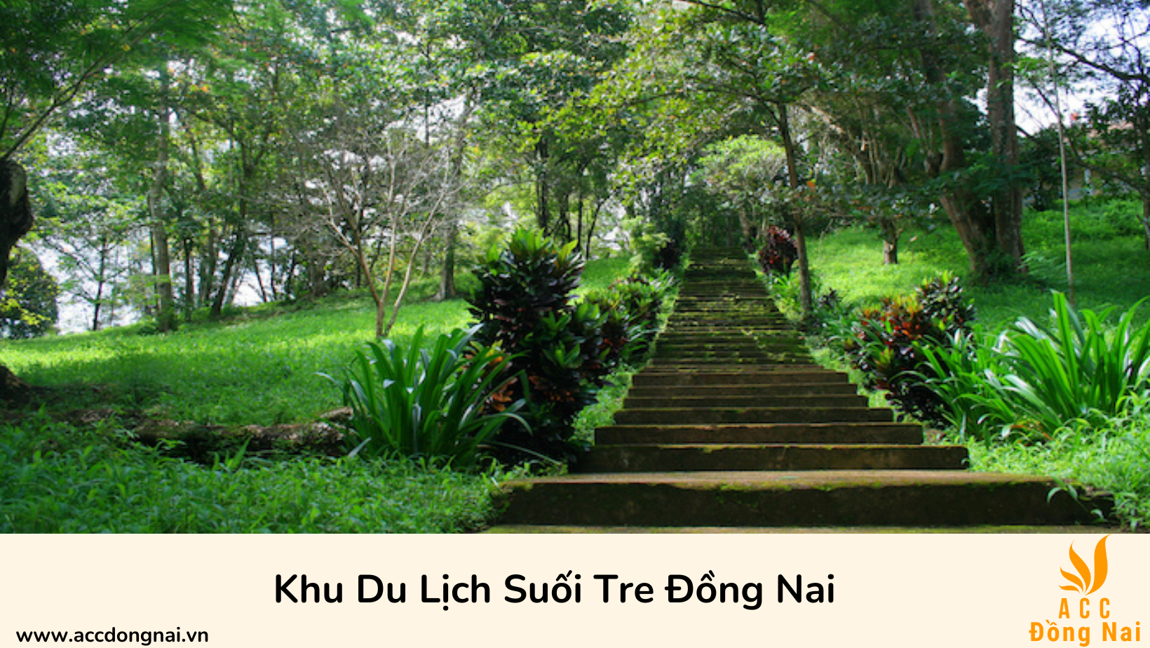 Khu Du Lịch Suối Tre Đồng Nai