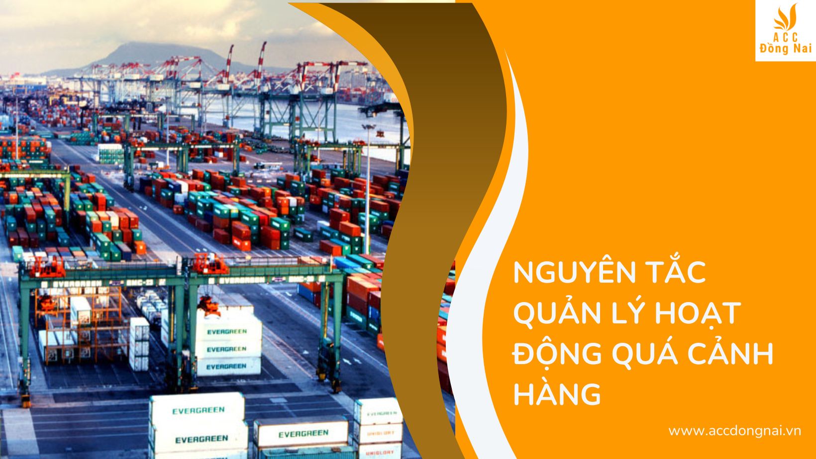 Nguyên tắc quản lý hoạt động quá cảnh hàng