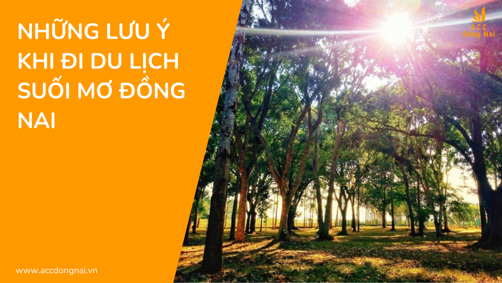 Những Lưu Ý Khi Đi Du Lịch Suối Mơ Đồng Nai 