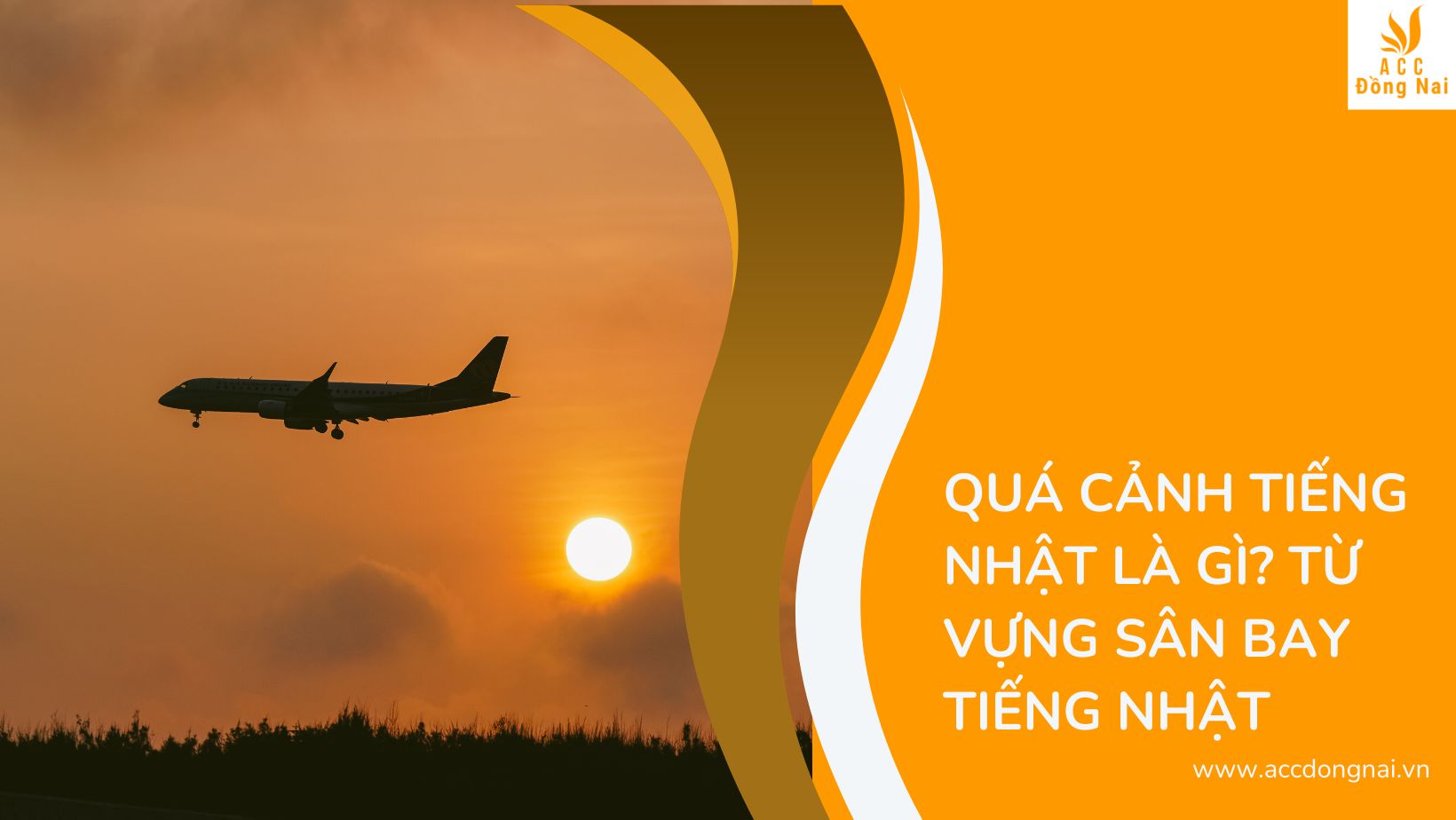 Quá cảnh tiếng Nhật là gì? Từ vựng sân bay tiếng Nhật