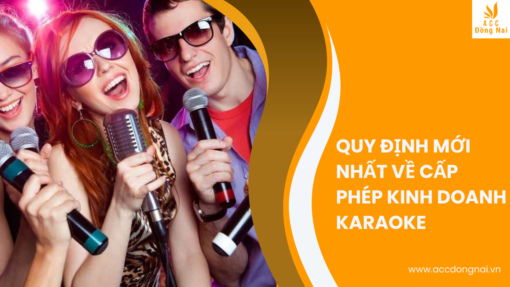 Quy định mới nhất về cấp phép kinh doanh karaoke