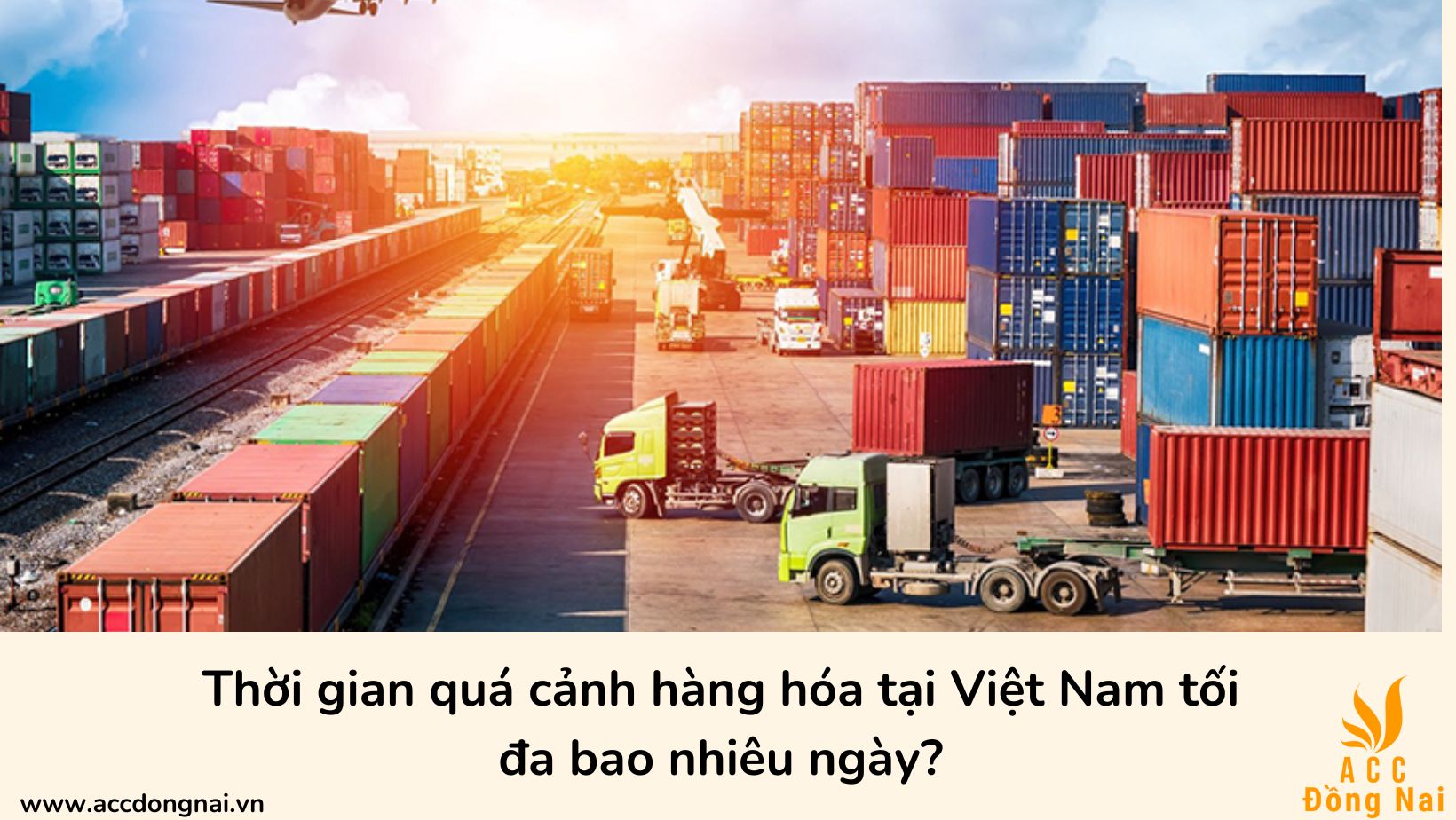 Thời gian quá cảnh hàng hóa tại Việt Nam tối đa bao nhiêu ngày?