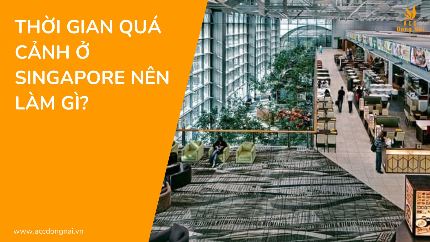 Thời gian quá cảnh ở Singapore nên làm gì?