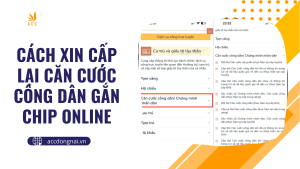 Cách xin cấp lại căn cước công dân gắn chip online