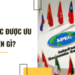 Thẻ APEC được ưu tiên gì?