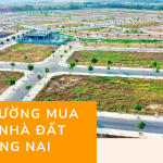 Thị trường mua bán nhà đất Đồng Nai