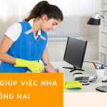 Dịch vụ giúp việc nhà Đồng Nai