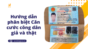 Hướng dẫn phân biệt Căn cước công dân giả và thật