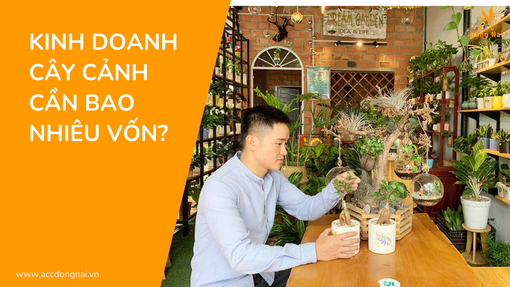 Kinh doanh cây cảnh cần bao nhiêu vốn?