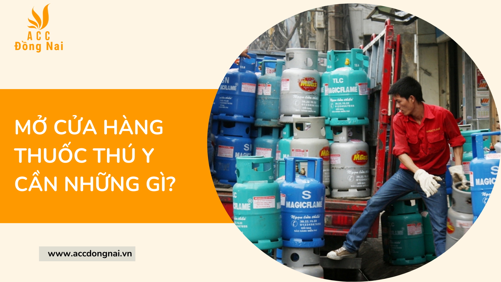 Mở cửa hàng thuốc thú y cần những gì?