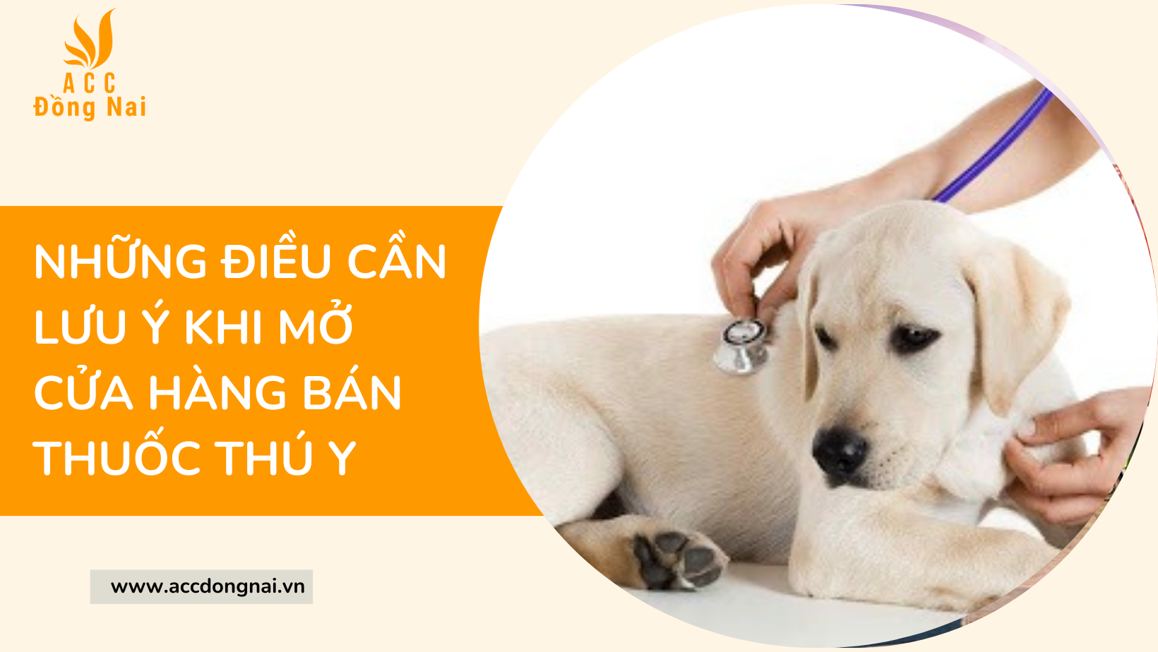 Những điều cần lưu ý khi mở cửa hàng bán thuốc thú y