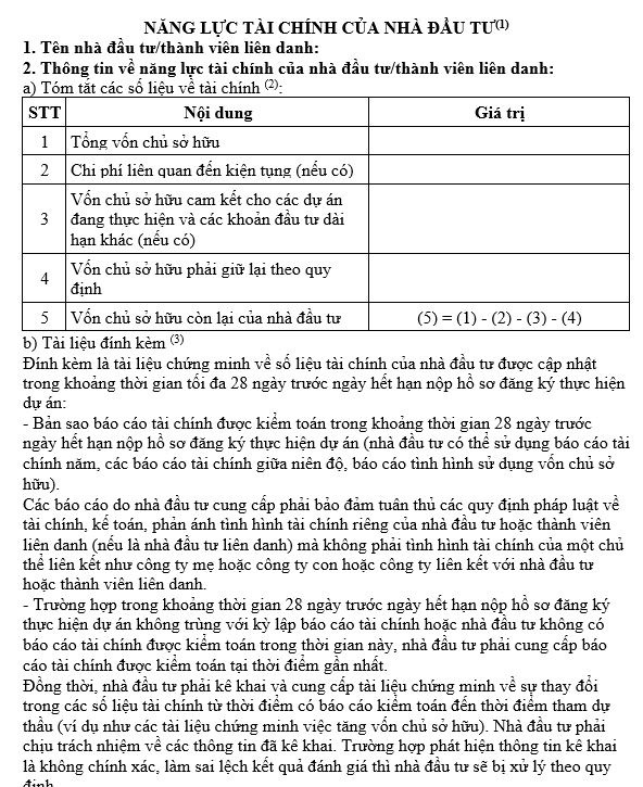 Mẫu báo cáo năng lực tài chính nhà đầu tư