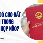 Cấp sổ đỏ cho đất vi phạm trong trường hợp nào