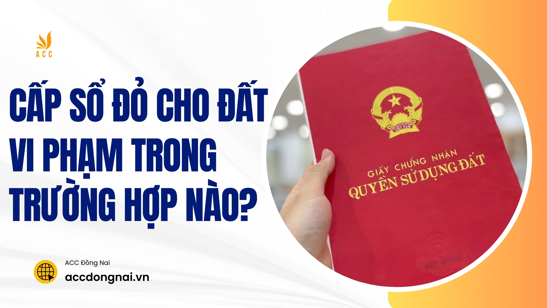 Cấp sổ đỏ cho đất vi phạm trong trường hợp nào